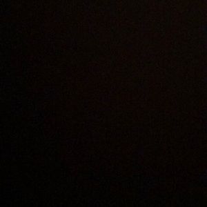 Meet your Posher, Sidney